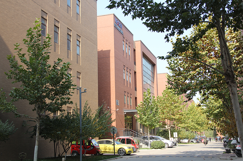 Company Profile
